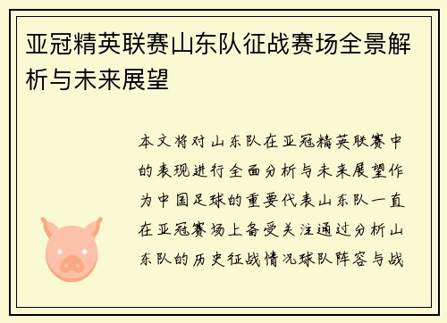 亚冠精英联赛山东队征战赛场全景解析与未来展望