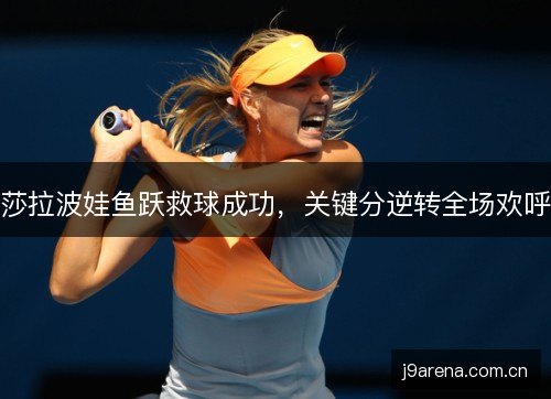 莎拉波娃鱼跃救球成功,关键分逆转全场欢呼 莎拉波娃鱼跃救球成功,关键分逆转全场欢呼